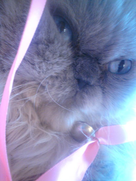 Татьяна Исаева