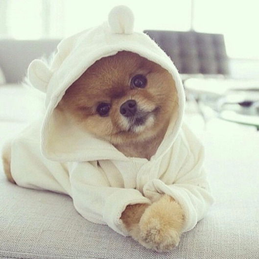 Ревекка Рабунец