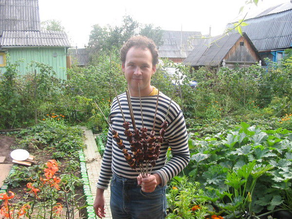 Александр Приходько