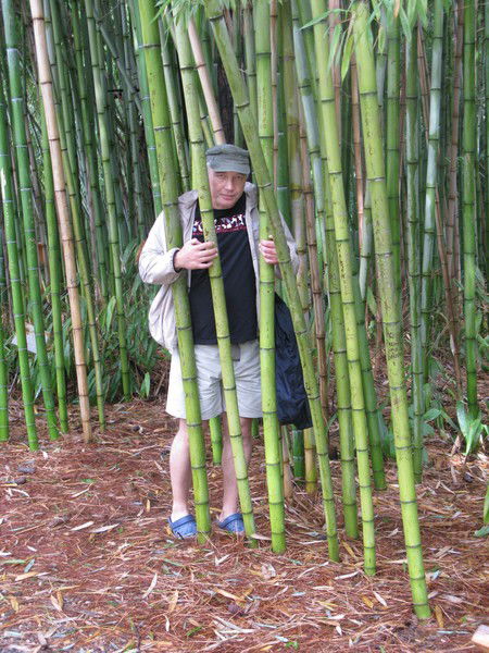 Александр Евсиков