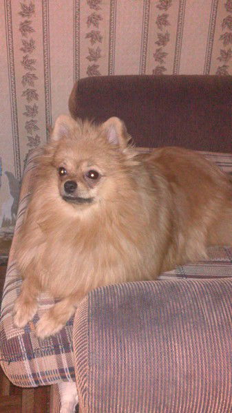 Анастасия Митюкова