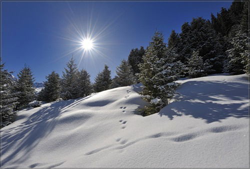 Антон Просвирин