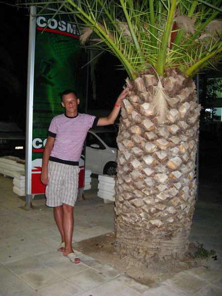 Сергей Митин