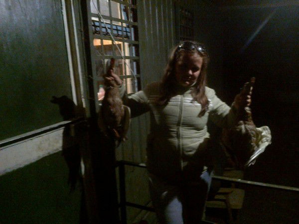 Юлия Миронова