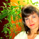 Елена Миронова(Потрясова)