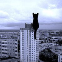 Вася Воробьёв