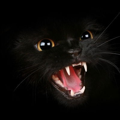 Олег Платонов