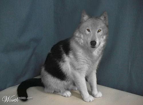 Марина Уварова