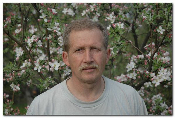 Александр Кошелевский