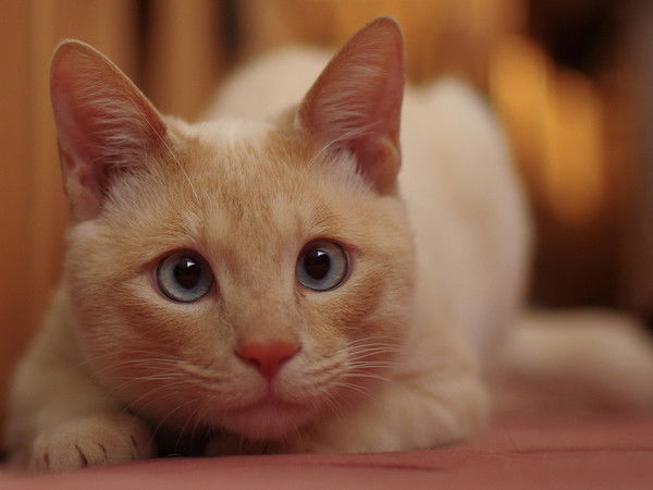 Александр .