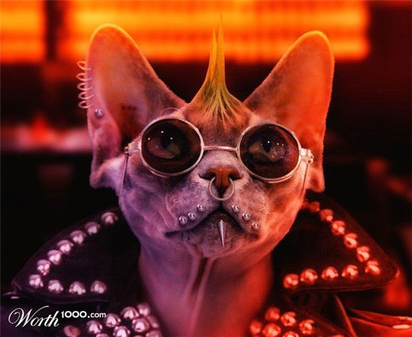 Иван Черкашин