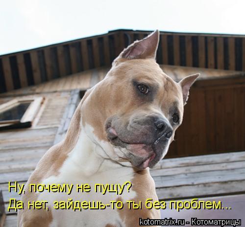 Денис Зайцев