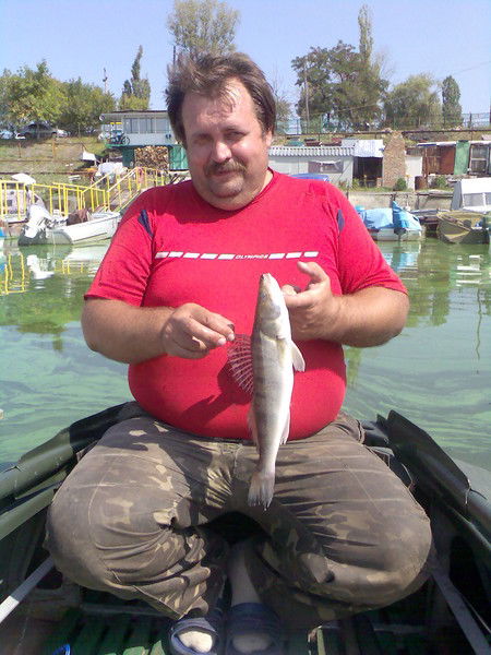 Сергей Михайленко