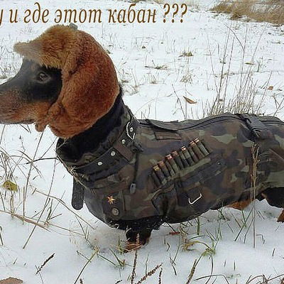 Захар Воронцов