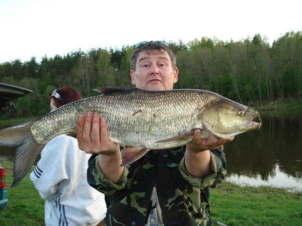 Андрей Владыкин