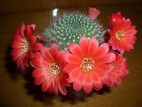 Умид Азимов