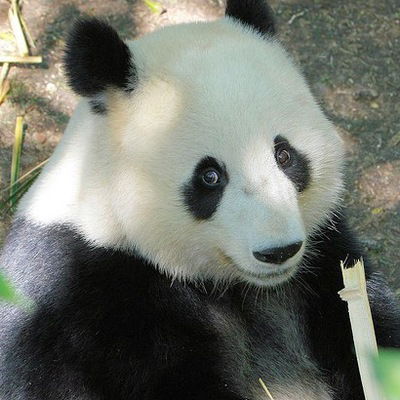 Виктория Маленьких