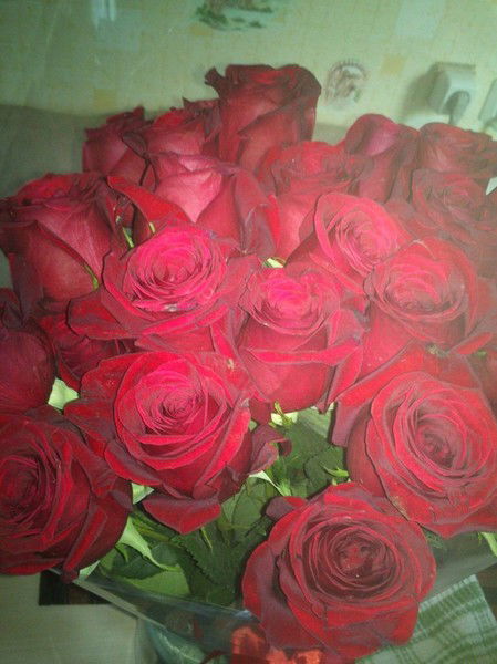 Анастасия Дубровская