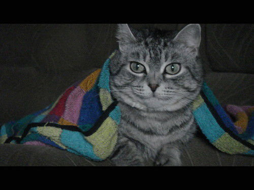 Людмила Шагеева