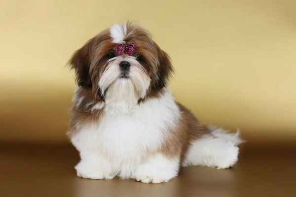 Наталья Журбина