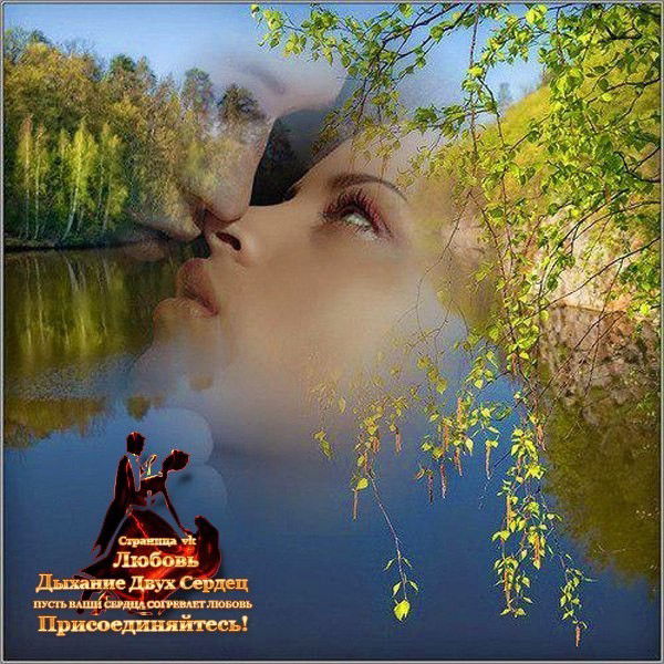 Сергей Полусон