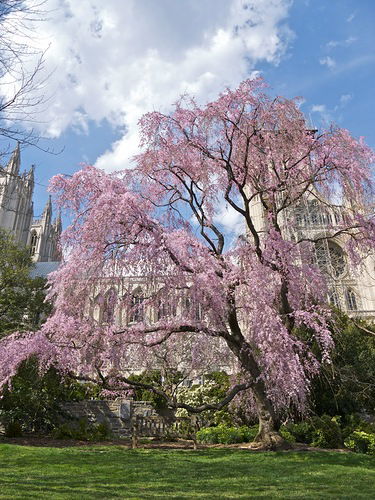 Мария Плагова