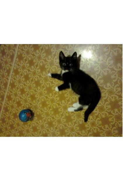 Нина Кочкина