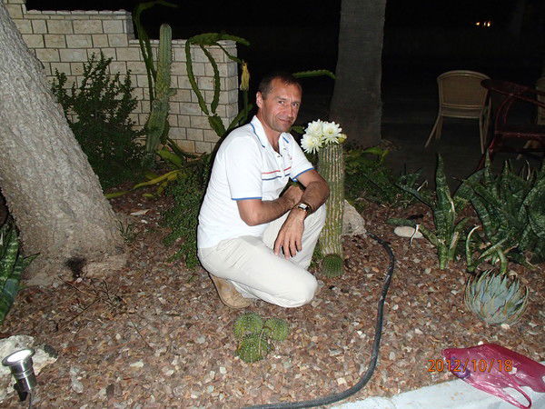 Александр Васильевых