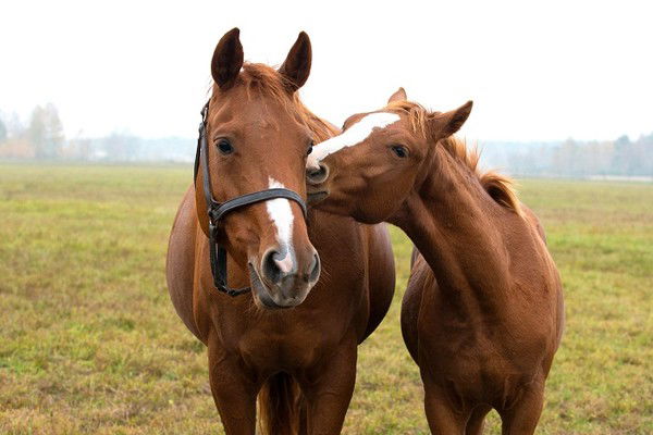 Жанна Ералина