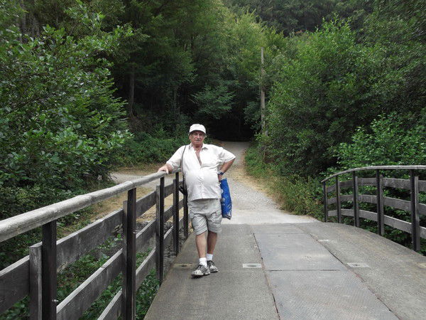 Давид Кушнирский