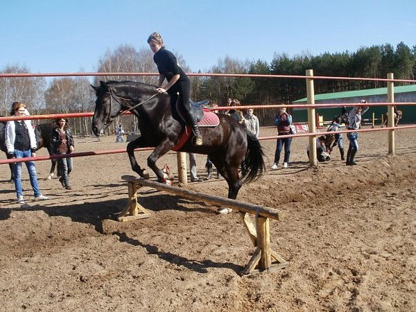Светлана Ледянкина