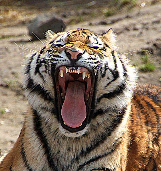 Юрий Щербинин