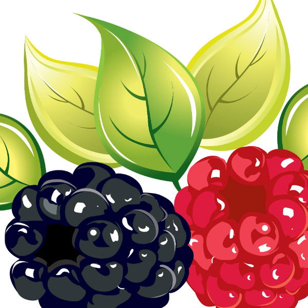 Ирина Захарова