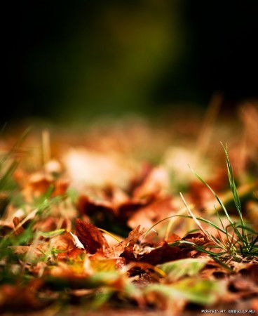 Вера Капацкая