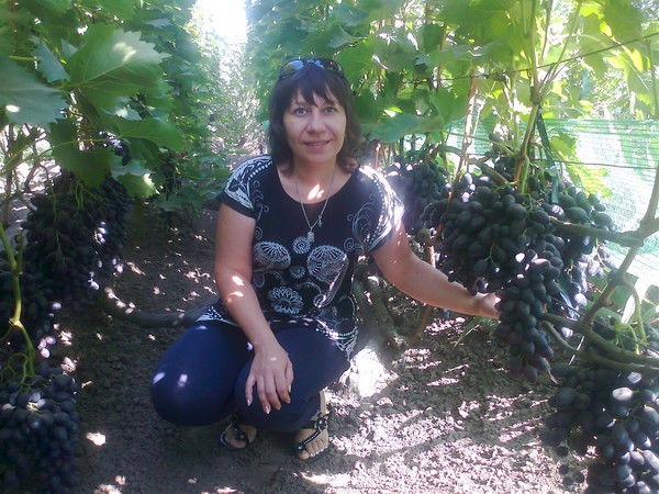 Валентина Дмитриенко