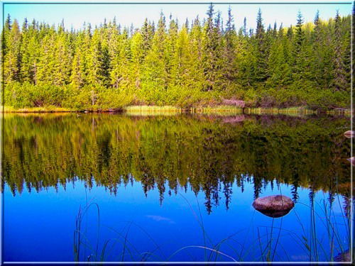 Анастасия Колчина