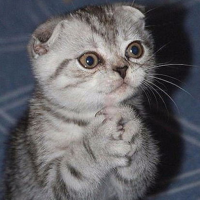 Игорь Давлячшин