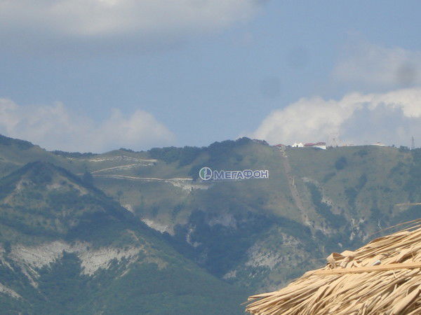 Елена Бучинская