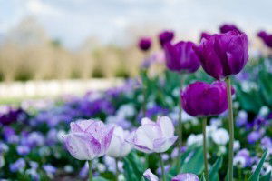 Ольга Минеева