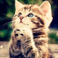 Людмила Радомская