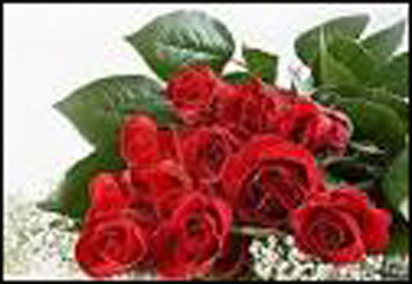 Беглан Конырбай