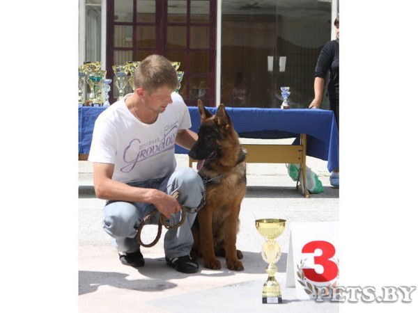 Евгений Азарко