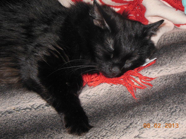 Ольга Воронова