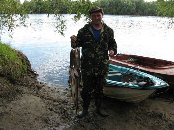 Александр Шеремет