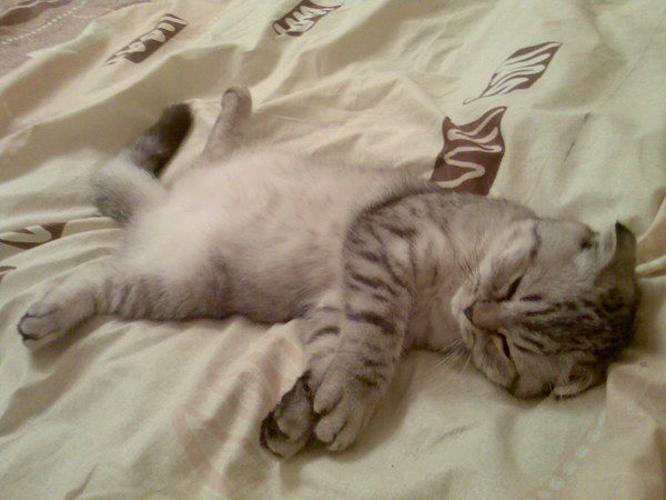 Дмитрий Верник