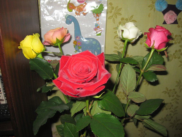 Виктория Пархомовская