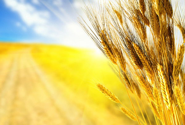 Кф Тоо Сей-Нар