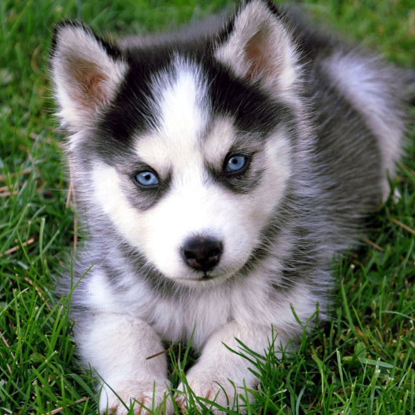 Алексей Ермишин