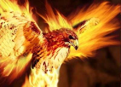 Виолетта Четокина