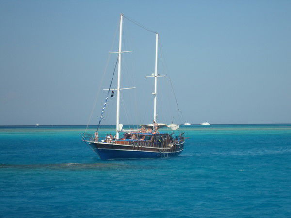 Евгения Коман